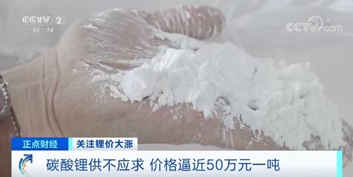 鋰資源瘋狂搶購背后 飼料原料銷售中的供需博弈與市場隱憂